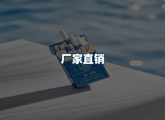 专业团队办公环境